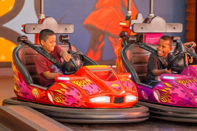 Dodgem Cars at Aussie World The Sunshine Coast Theme Park